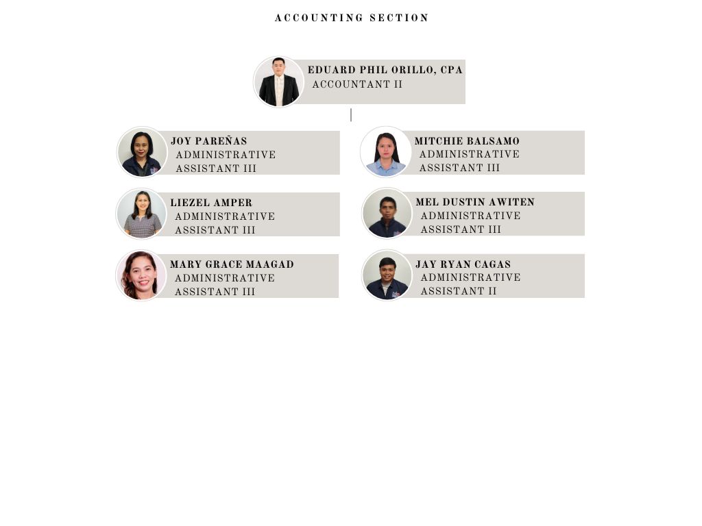 Accounting Section Organizational Chart